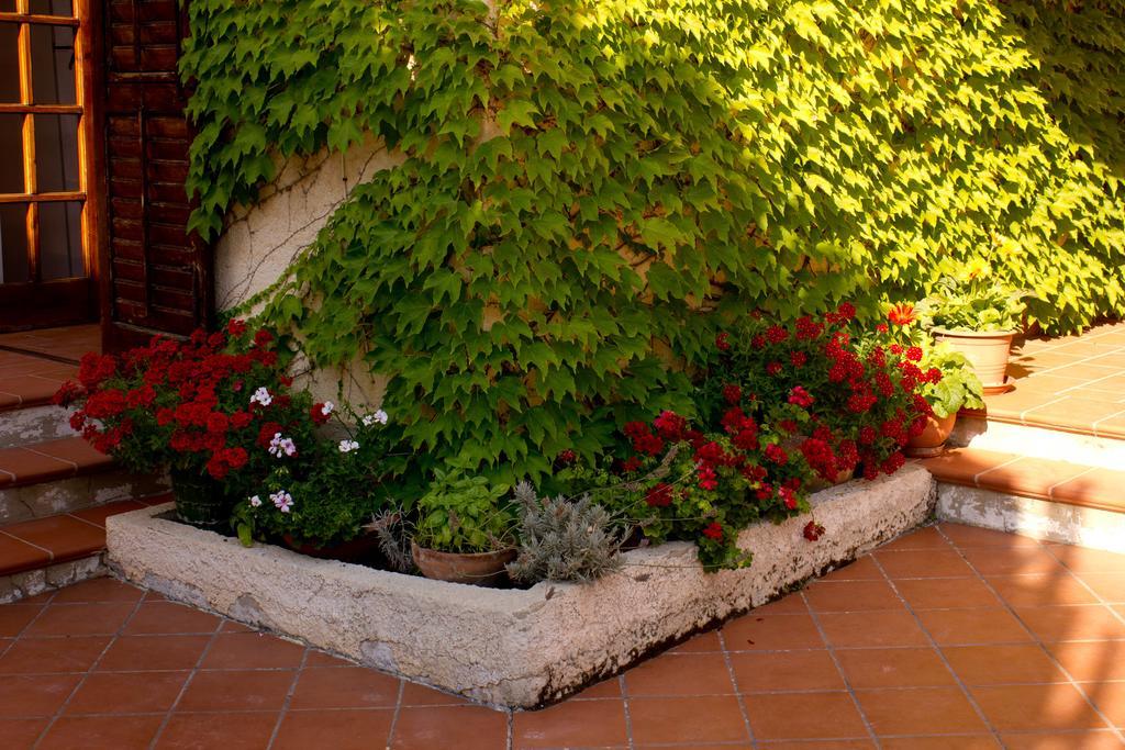 Casa Del Falso Pepe - Scala Dei Turchi Realmonte Eksteriør bilde